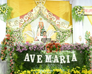Lakhs of People witnessed Annual Jatra Mahotsav of Minor Basilica of Our Lady of Health, Harihara